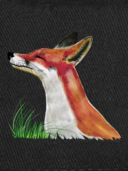 Le petit renard