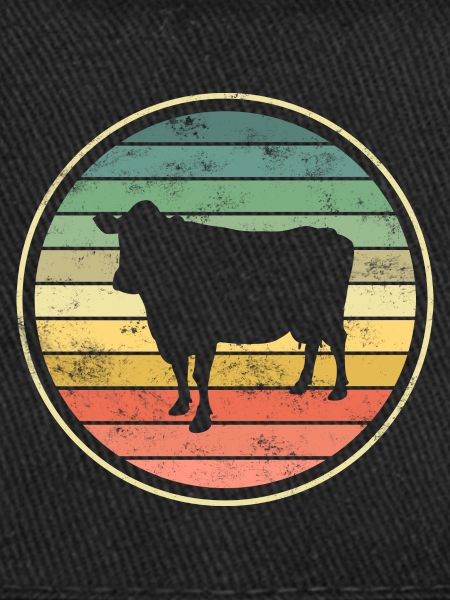 Vache Vaches