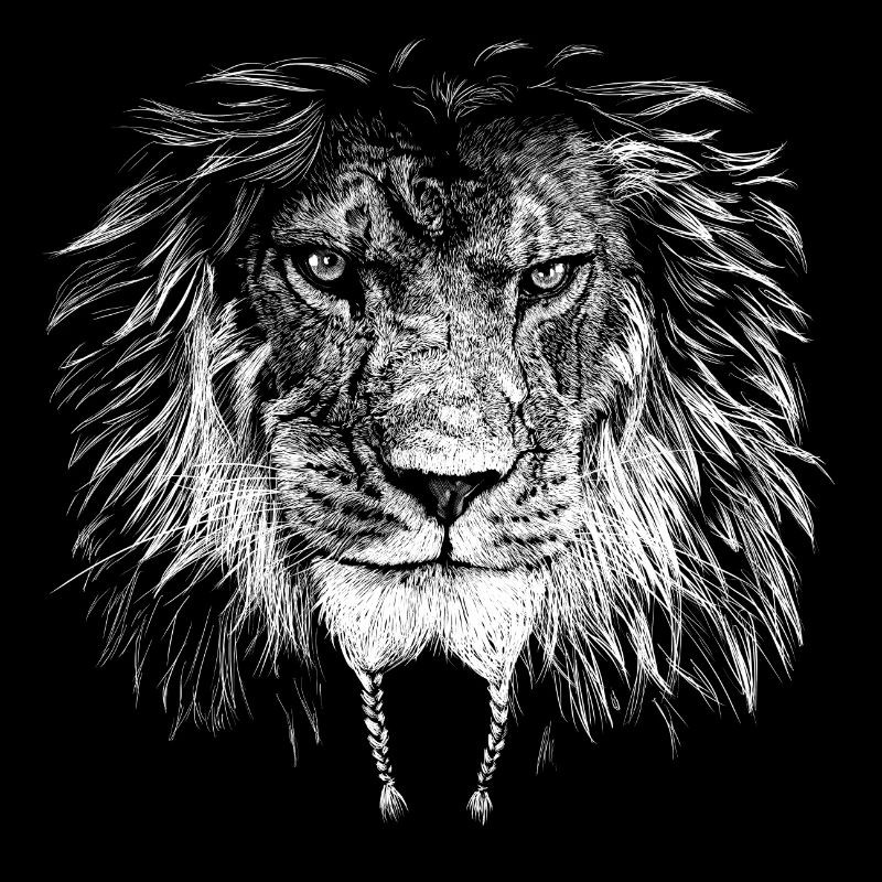 Lion Biker