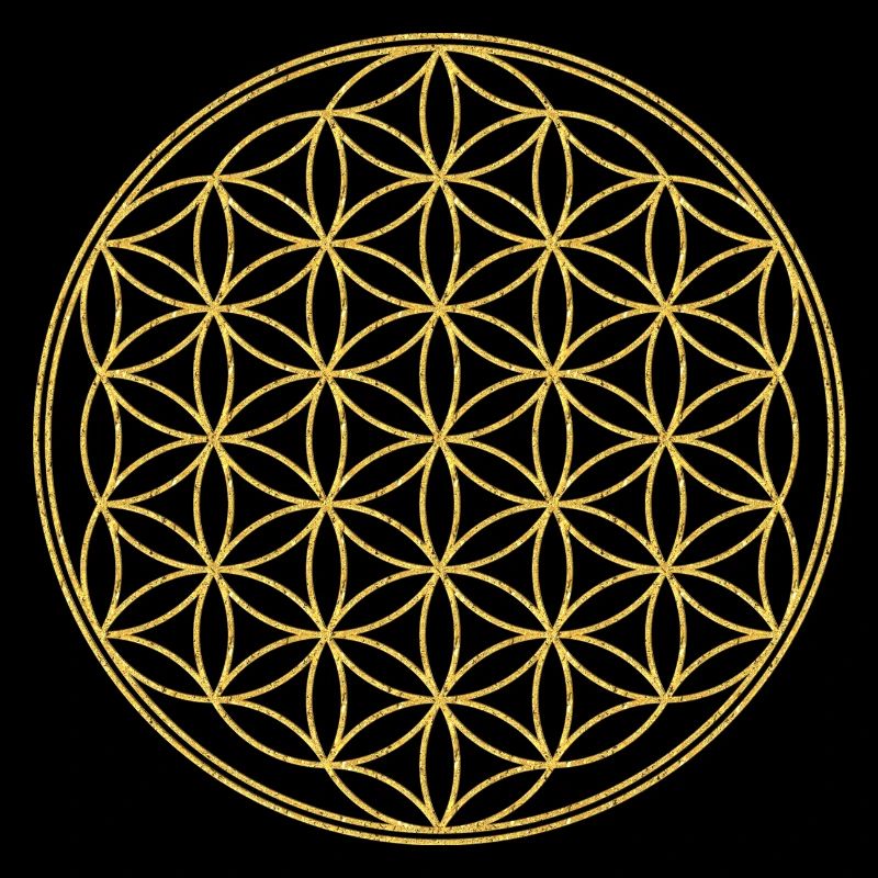 Blume Des Lebens - Solo 3