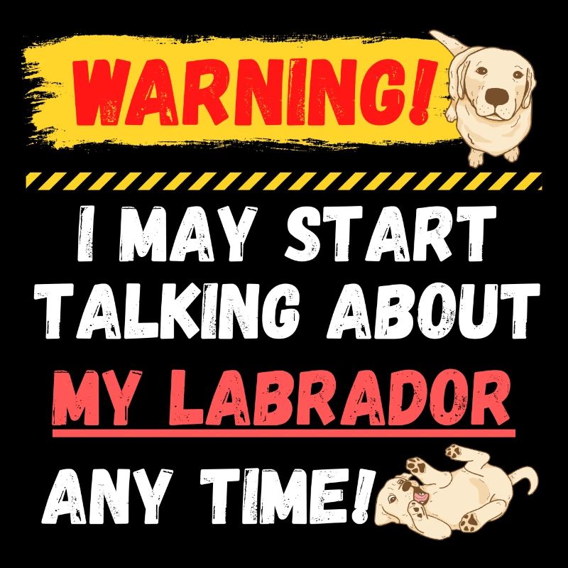 Warning Labrador