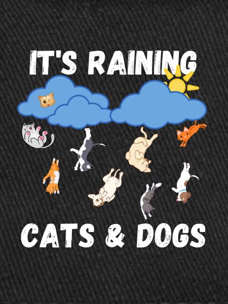 Raining Cats and Dogs