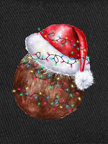 Christmas Coconut