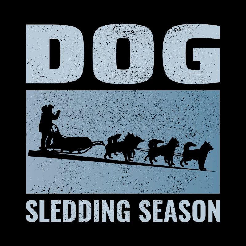 Husky Sledding Sled Dog Racing Alaskan Racers