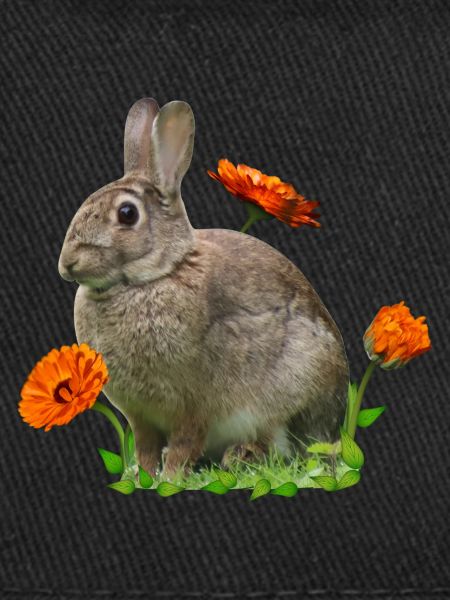 Rabbit Easter Calendula