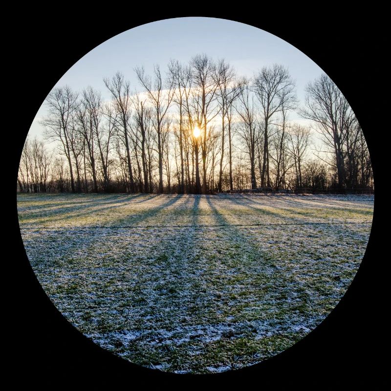 Soleil d’hiver
