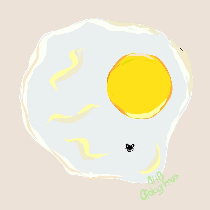 FRIED EGG v fly