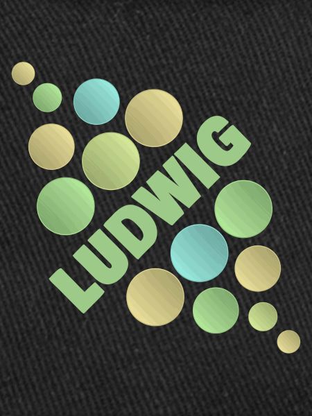 First name Ludwig