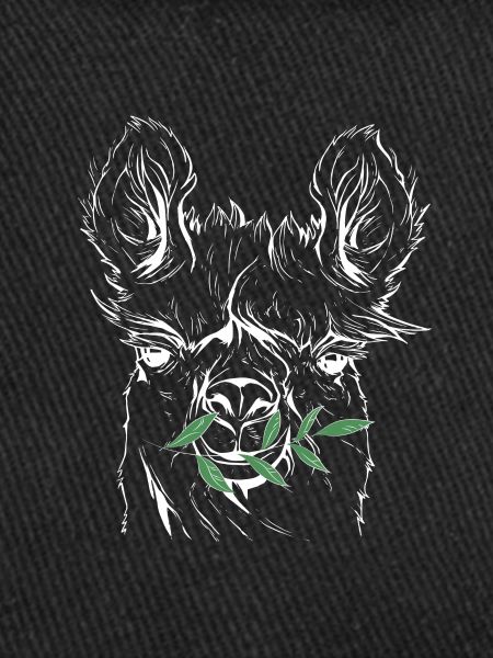 Lama, Alpaca