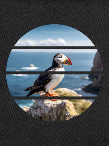 Puffin on a cliff
