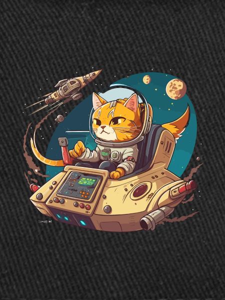 Capitaine de chat de l’espace