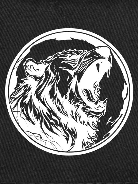 Grizzly Bear