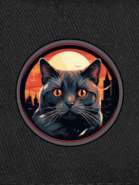 Chat Chartreux