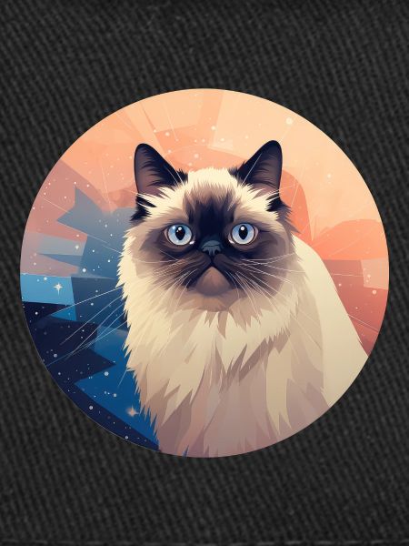 Himalayan cat