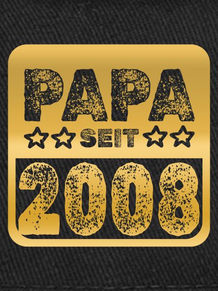 seit 2008