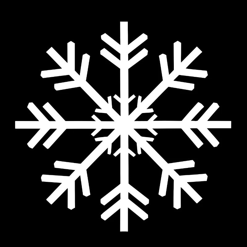 snowflake with natural shapes