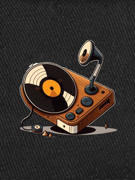Le collectionneur de vinyles