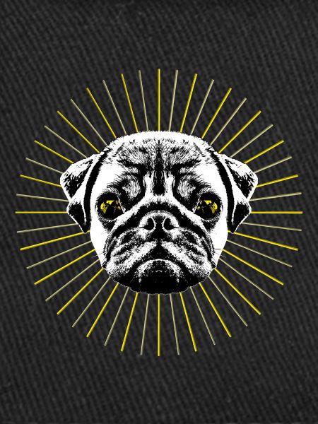 Holy Pug