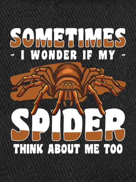 Spider Web Crawling