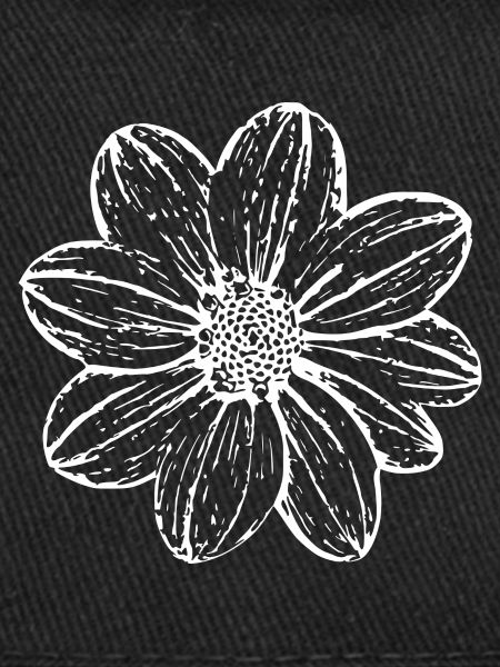 Fleur, Blanc, Fleur Blanche