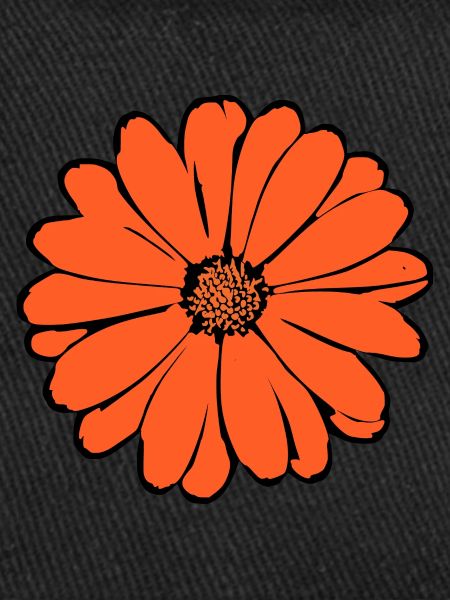 Lys, Fleur, Fleur, Oranges