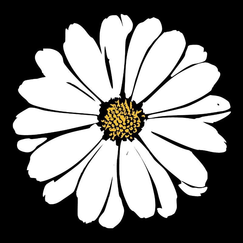 Blume weiß weiße Blumen Sommer Hippie Geschenkidee