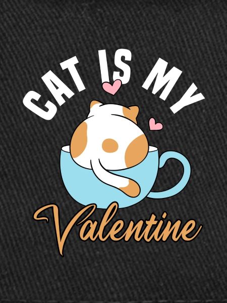 Le chat est mon Valentin