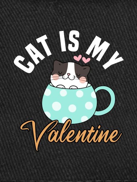 Mon chat est mon Valentin