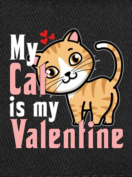 Mon chat est mon Valentin