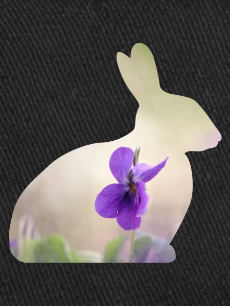 Rabbit Rabbit