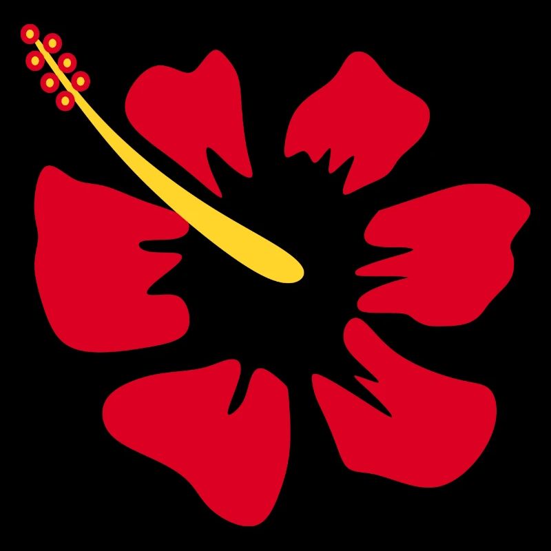 Blume rot rote Blumen rot rote Blumen Hibiskus