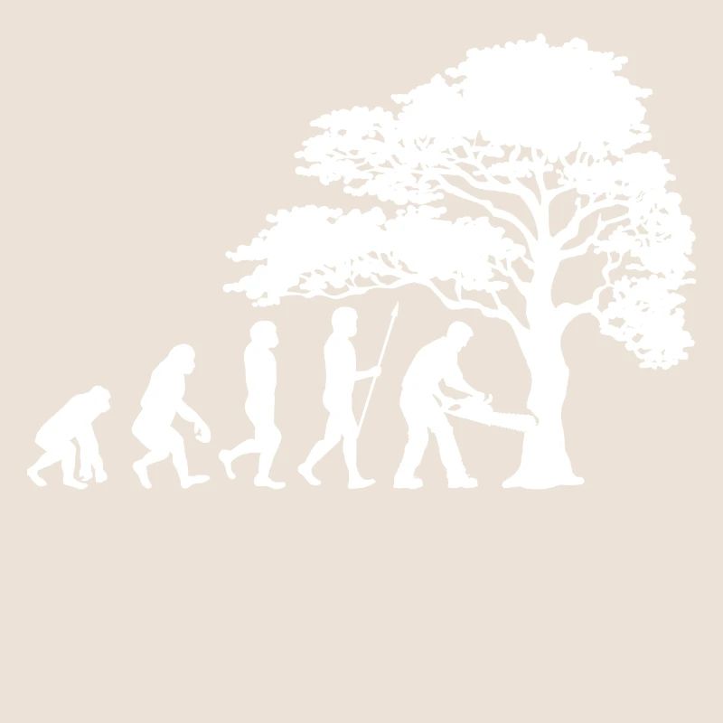 Arbre bois sciure sciure bûcheron boiseries