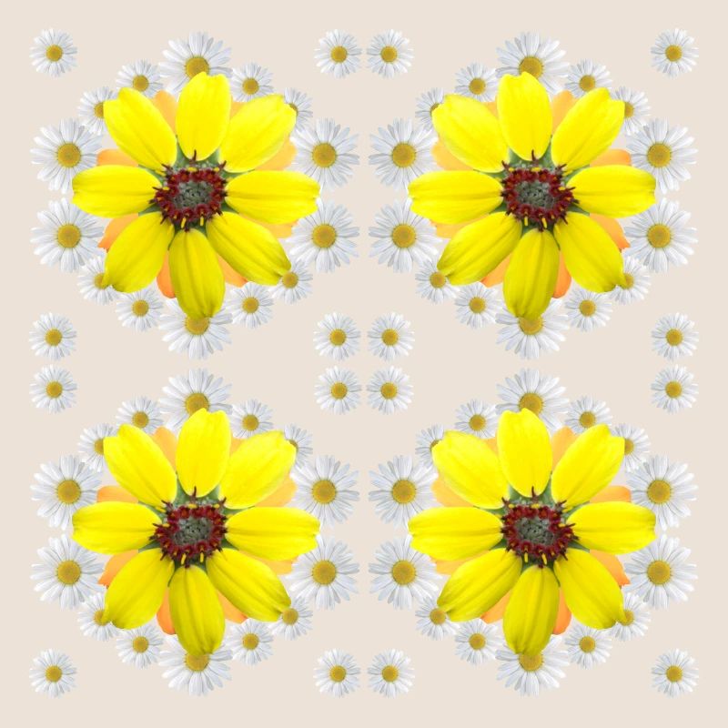 Margeriten gelbe Blüte Gänseblümchen Blumenmuster