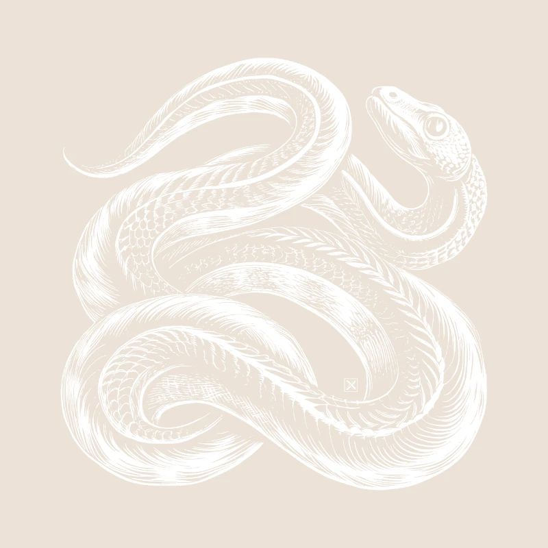 Serpent blanc entrelacé