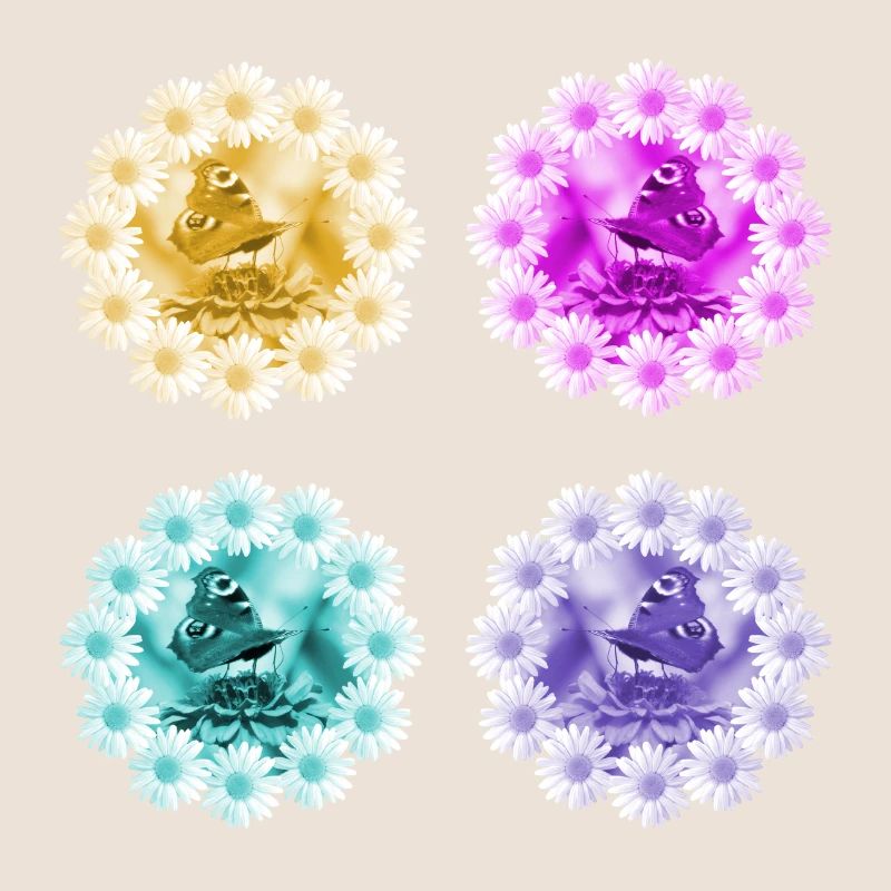 Daisies Butterflies Flower Floral Pattern