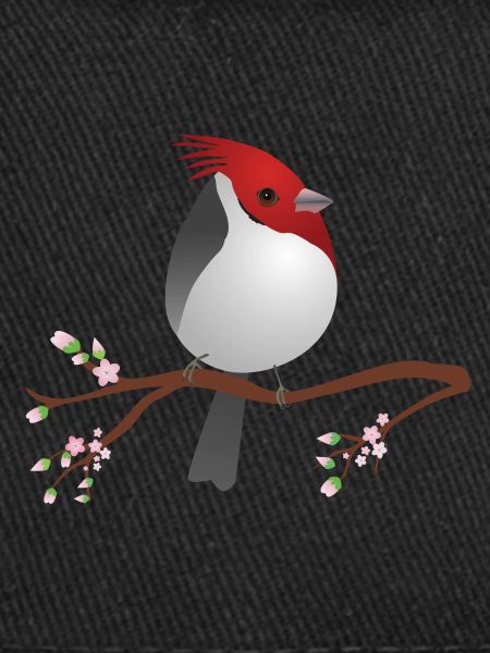 Cute red-crested cardinal