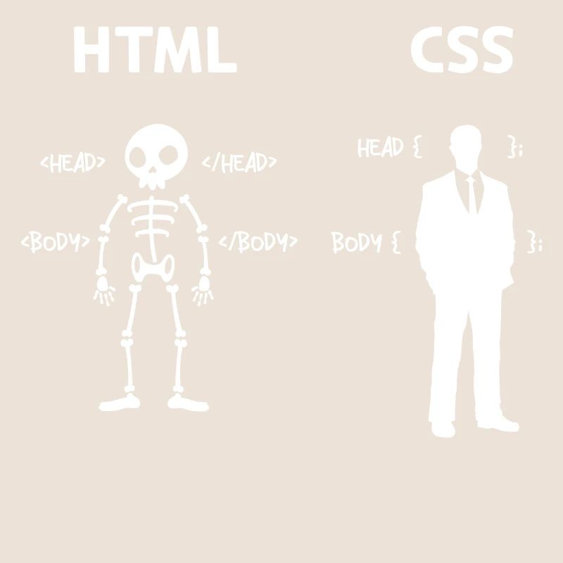 Code Css C++ Php Java Developer Code Scripting