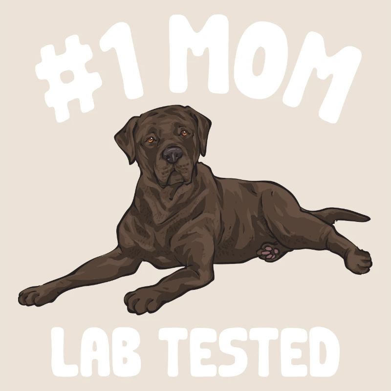 Chien Labrador Retriever brun chocolat