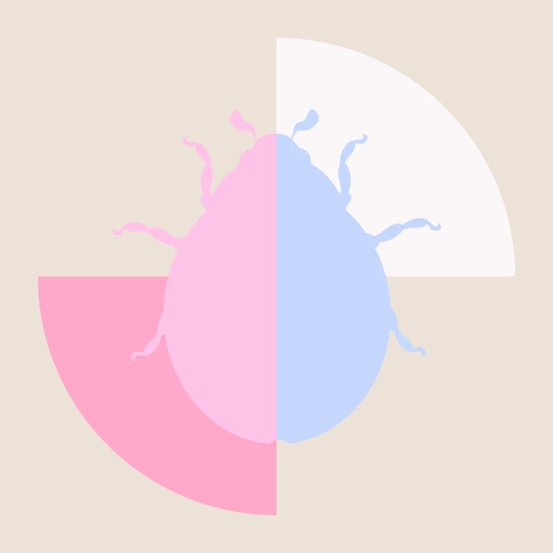 Duo Coccinelle Bleu Pastel Rose