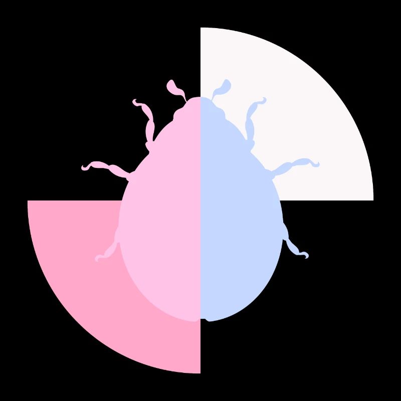 Duo Coccinelle Bleu Pastel Rose