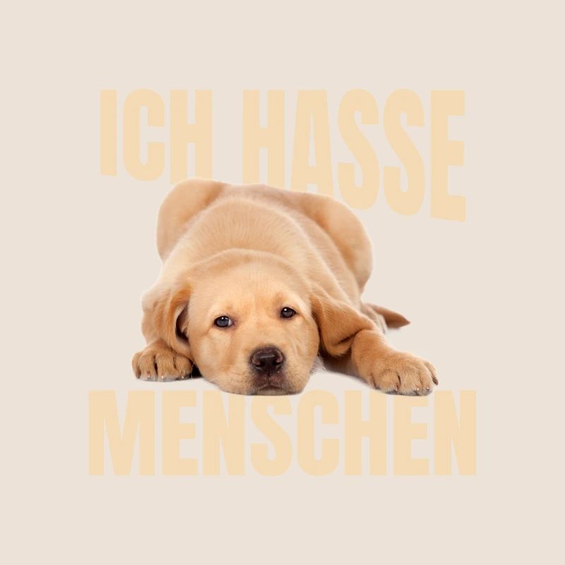 Mème du Labrador