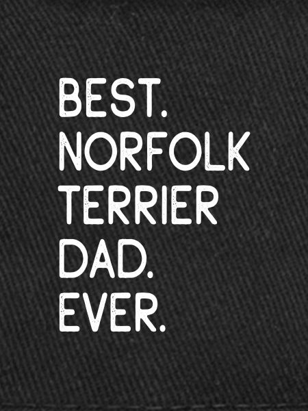 Norfolk Terrier