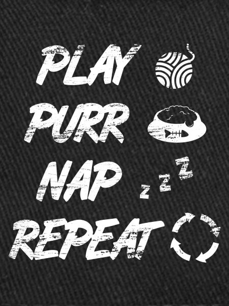 Cat Daily Routine