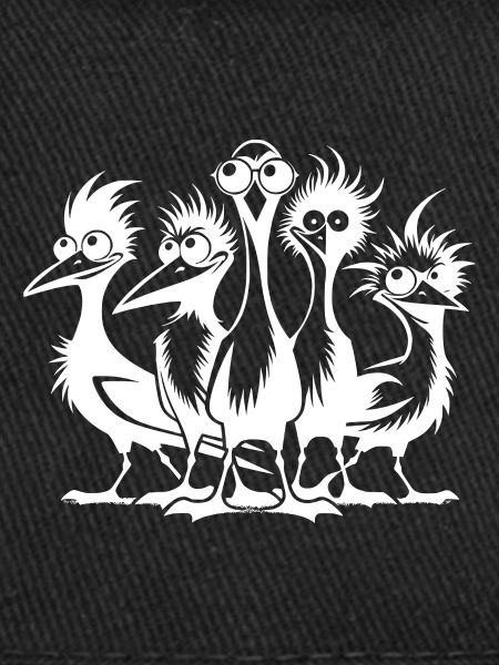 Crazy funny bird group