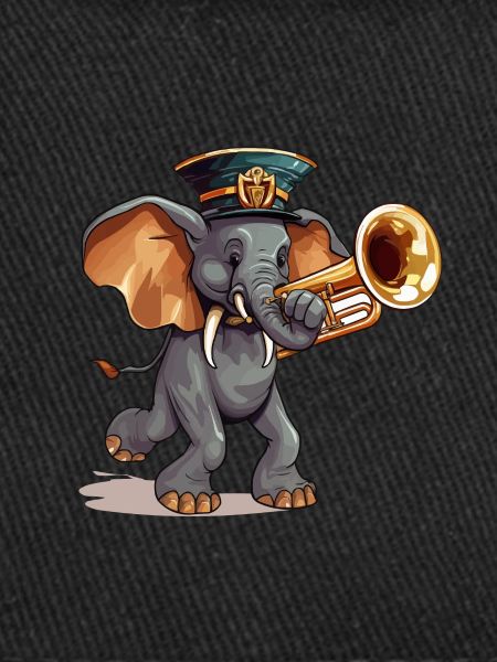Elephant Maestro