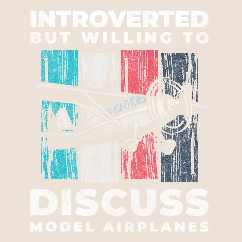 Model Airplane Model Flying Machine Flight