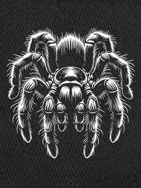 Large Hairy Tarantula Tarantula