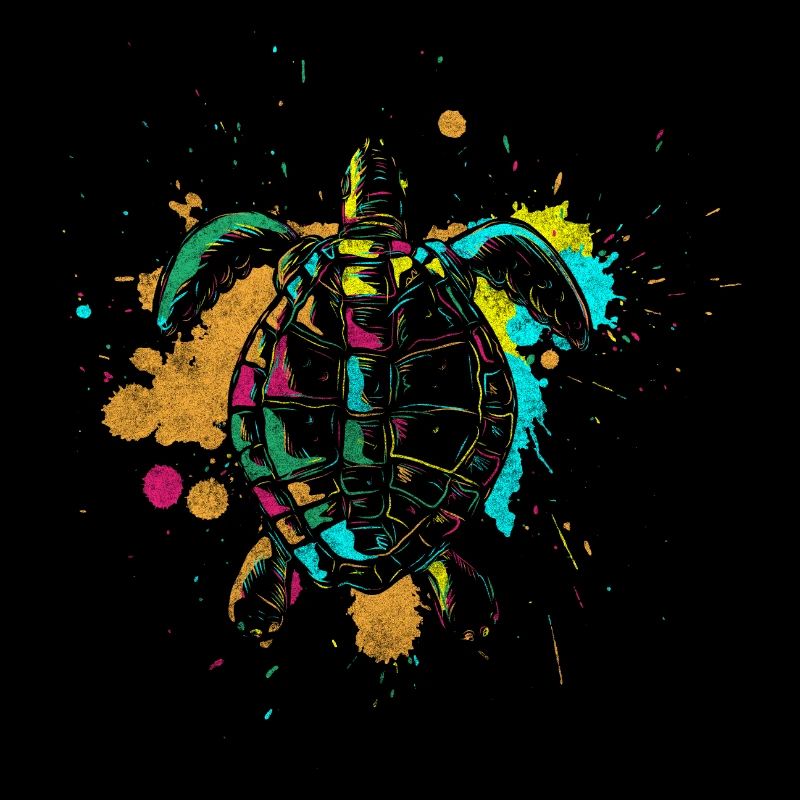 Turtle Pet Animals Biodiversity