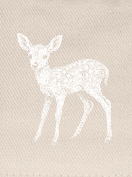 Fawn