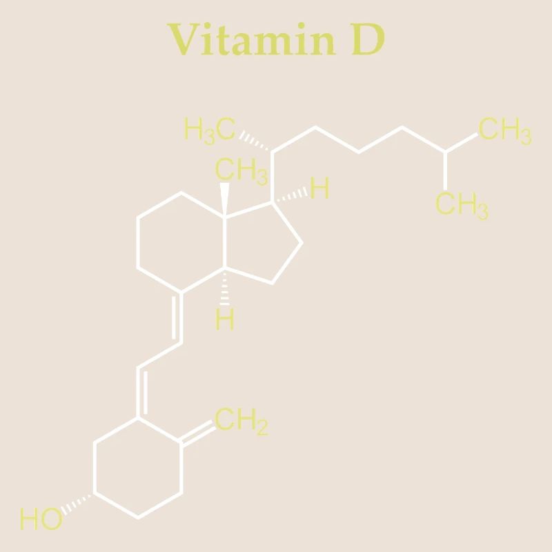 Vitamin D Structure